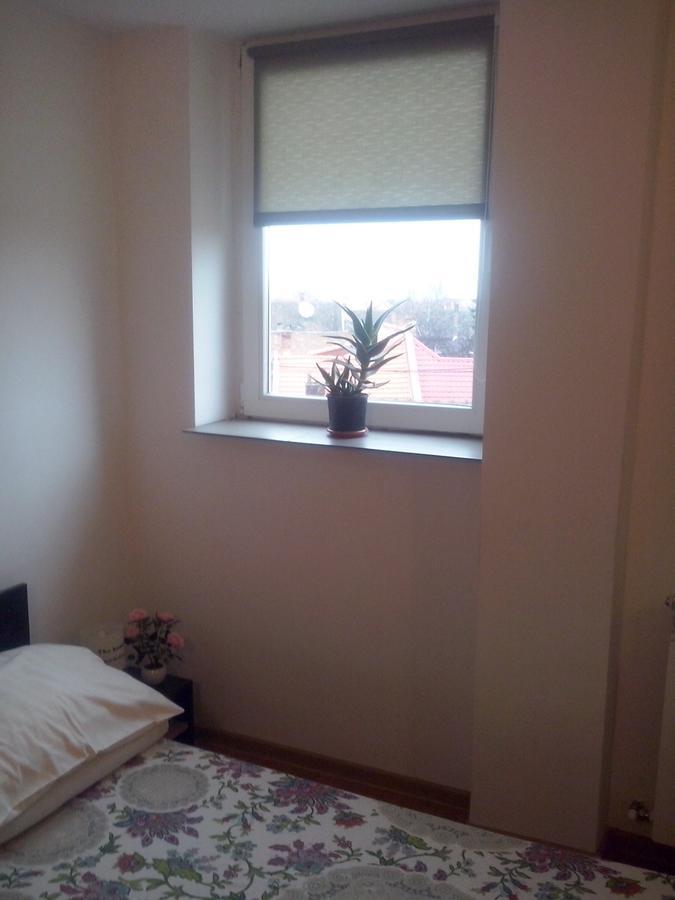 Timeea'S Home Sibiu Dış mekan fotoğraf